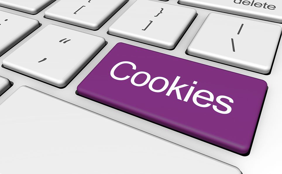 WEB SİTESİ ÇEREZLERİ (COOKIES) NE İŞE YARAR?